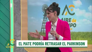 El mate podría retrasar el parkinson - Aire De Campo Express