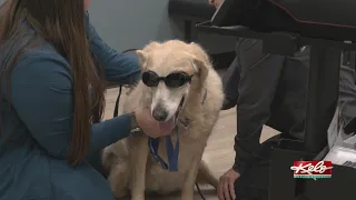 Pet Wellness Veterinary Hospital expands in SF