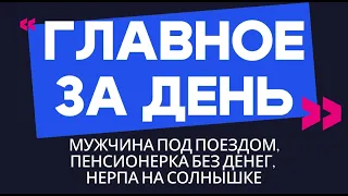 Главное за день: мужчина под поездом, пенсионерка без денег, нерпа на солнышке