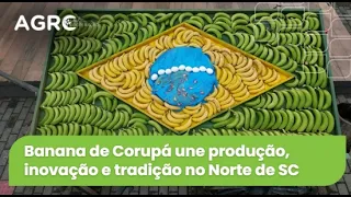 Agro Saúde e Cooperação - Banana de Corupá