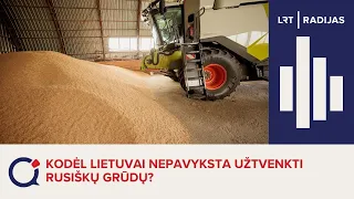 Ekspertai apie rusiškų grūdų tranzitą: tikriname, ar yra įmaišytų iš Ukrainos vogtų grūdų