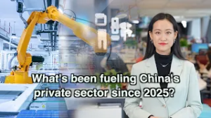 What's been fueling China's private sector since 2025?