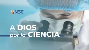 El ciclo perfecto del agua