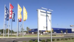 Получают ли налогоплательщики отдачу от многомиллионных инвестиций IKEA?