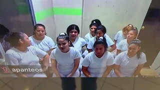 FT GANG MEMBERS CONVICTED