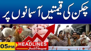 Chicken High Again | 05pm News Headlines I 17 Feb 2026 I City 41