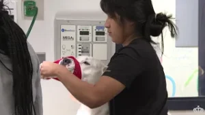 Appreciating the Veterinary Team at Animal Care & Control