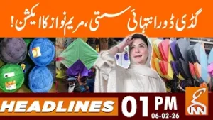 Guddi & Door Rate Decreased, Maryam Nawaz in action | News Headlines | 01 PM | 06 Feb 2025 | GNN
