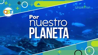 Por Nuestro Planeta - Lunes 17 agosto 2026