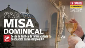 Santa Misa Dominical - 2026-02-15