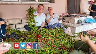 TAVA CİĞERİN YOL ARKADAŞI KARAAĞAÇ ACI BİBERİ “BONCUK” GİBİ İPE DİZİLİYOR
