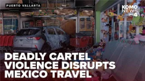 More than 70 reported dead as cartel violence disrupts travel in Puerto Vallarta