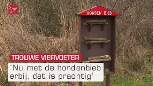 Honden dolblij met speeltjes in eigen bibliotheek in Vliegerpark | Omroep Flevoland