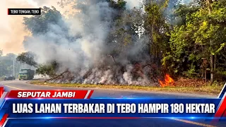BURNED LAND AREA IN TEBO NEARLY 180 HECTARES