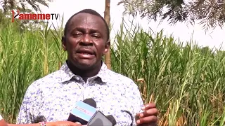 Minista Mutahi Kagwe gutetera igoti ria 0.8% ria macani