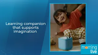 Learning companion that supports imagination