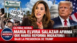 🔴 ÚLTIMA HORA: María Elvira Salazar afirma que habrá REFORMA MIGRATORIA bajo la presidencia de Trump