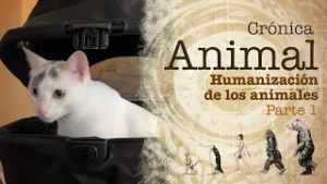 Crónica animal | Ep. 9: Humanización de los animales. Parte uno