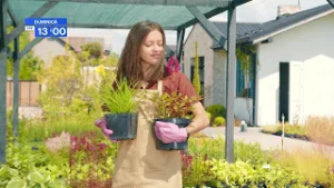 ? Un nou sezon al emisiunii Roadele pământului începe duminică, 1 Martie, de la ora 13:00