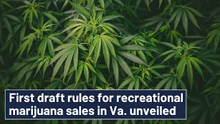 Here's a look at the draft rules for retail marijuana sales in Virginia
