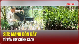 Sức mạnh đòn bẩy từ vốn vay chính sách | CT-TDT