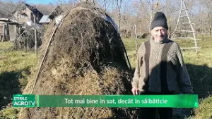 Tot mai bine în sat, decât în sălbăticie 04 03 2026