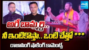 అరే బామ్మర్ది.. | MLA Raja Singh Challenge to Akbaruddin Owaisi and Asaduddin Owaisi on Hindus Issue