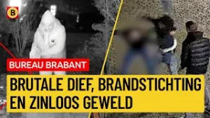 Zware mishandeling en brandstichter voordeur op beeld  | Bureau Brabant