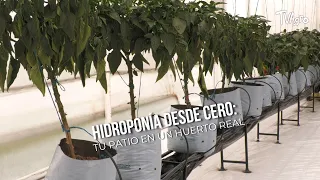 Hydroponics from SCRATCH: Turn Your Yard into a REAL Garden - TvAgro by Juan Gonzalo Angel