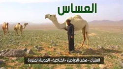 العساس | العثياء - هضب الدياحين - الحناكية - المدينة المنورة ( 9-5-1440 هـ )