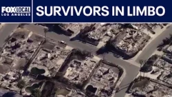Palisades, Eaton fire survivors face loss of disaster case managers