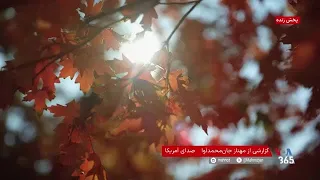 اعتدال پائیزی؛ آغاز رسمی پاییز