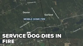 Service dog dies in Dexter mobile home fire