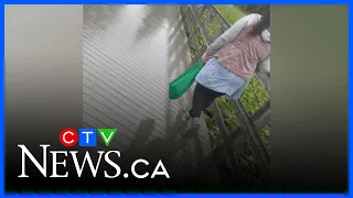 Woman in viral littering video fined $1,000
