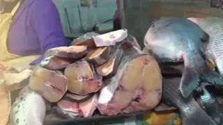 Cold weather boosts fish sales at Luque's Market No. 1