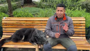 El límite entre el amor y la humanización: Cómo construir un vínculo sano con las mascotas