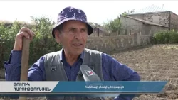 Կանաչ պարարտացմամբ կարտոֆիլի մշակումը արդյունավետ է եղել. գանձակցի հողագործը հավաքել է բերքը