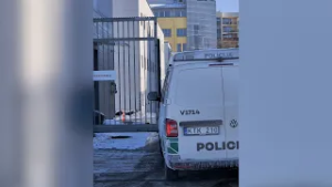 Pamatykite: į laisvę paleistas finansiniais nusikaltimais įtariamas V. Germanas atvežtas į Vilnių