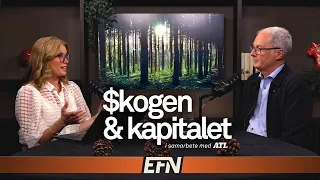 Vad är en försäkringsbar skog?