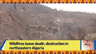 Wildfires leave death, destruction in northeastern Algeria