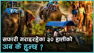 बन्द हुने बाटोमा हात्ती सफारी, व्यवसायीले के रोज्लान् विकल्प ?  | Kantipur Samachar