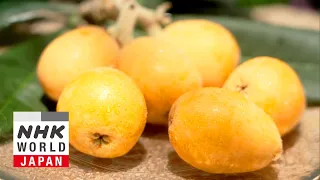 Loquat - Trails to Oishii Tokyo