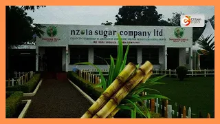 Wafanyakazi wa kampuni ya Nzoia Sugar wapanga mgomo kudai mishahara na marupurupu
