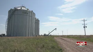 How farmers can combat mental health struggles