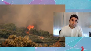 Forest engineers express optimism regarding wildfires: "The weather outlook is more positive"