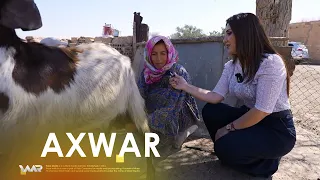 Axwar - Qîra | ئاخوار- قیرا