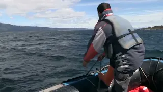 Two salmon farm workers to face trial for theft and illegal fish trading in Magallanes