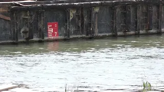 Dunav nestaje pred našim očima  Reka se povukla, čamci na suvom