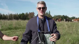 ÕHTU! | Piret ja Jüri proovisid loomade karjatamist