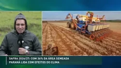 Soybean planting reaches 15% in Brazil, but excess rain challenges producers in the South